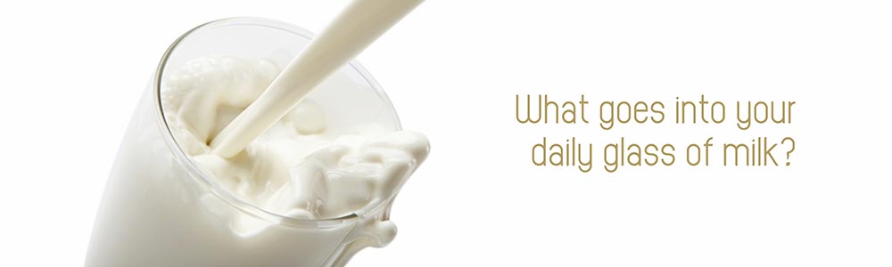 Pure milk from dairy, Dairy Products from Chitale Dairy, Pune, Maharashtra
