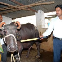 Tech-Driven Dairy
