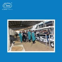 Technological Leap: RFID & Genetics Lab